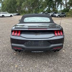 2024 Ford Mustang GT Premium BRONZE PACKAGE