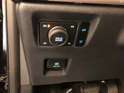 2025 Ford Expedition Max Active 202A/ROOF