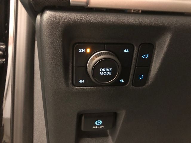 2025 Ford Expedition Active 202A/ROOF