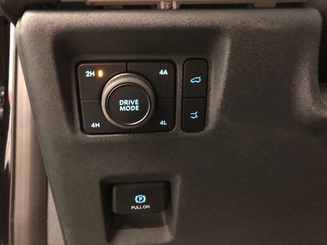 2025 Ford Expedition Active 202A/ROOF