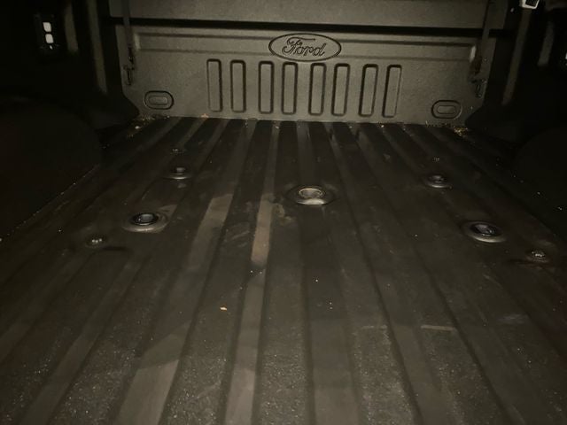 2025 Ford F-250SD Platinum ROOF