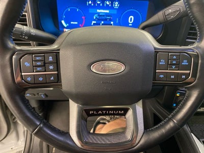 2025 Ford F-250SD Platinum ROOF