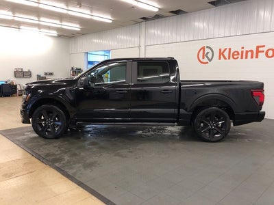 2026 Ford F-150 STX LOBO