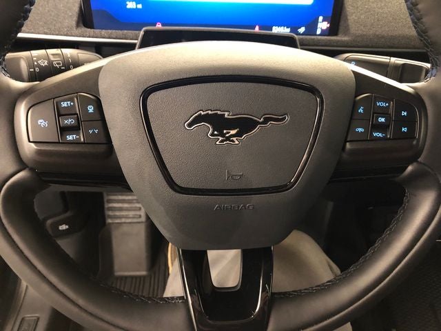 2025 Ford Mustang Mach-E Premium ROOF/EXTENDED BATTERY