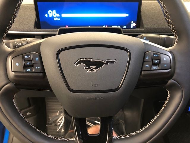 2025 Ford Mustang Mach-E GT PERFRORMANCE PACKAGE/ROOF