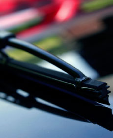 FREE Quart of Optikleen